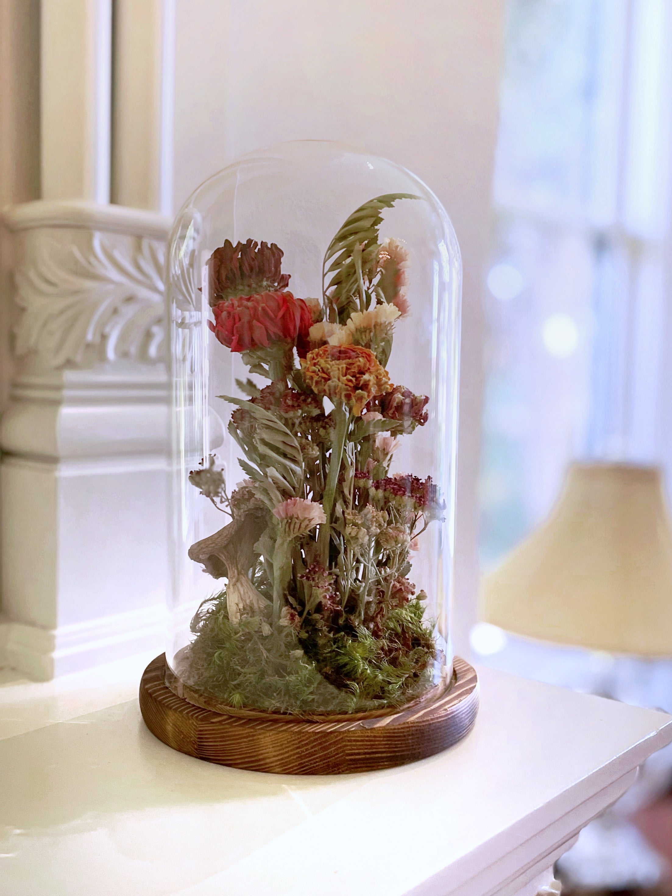 Unique Decorative Terrariums