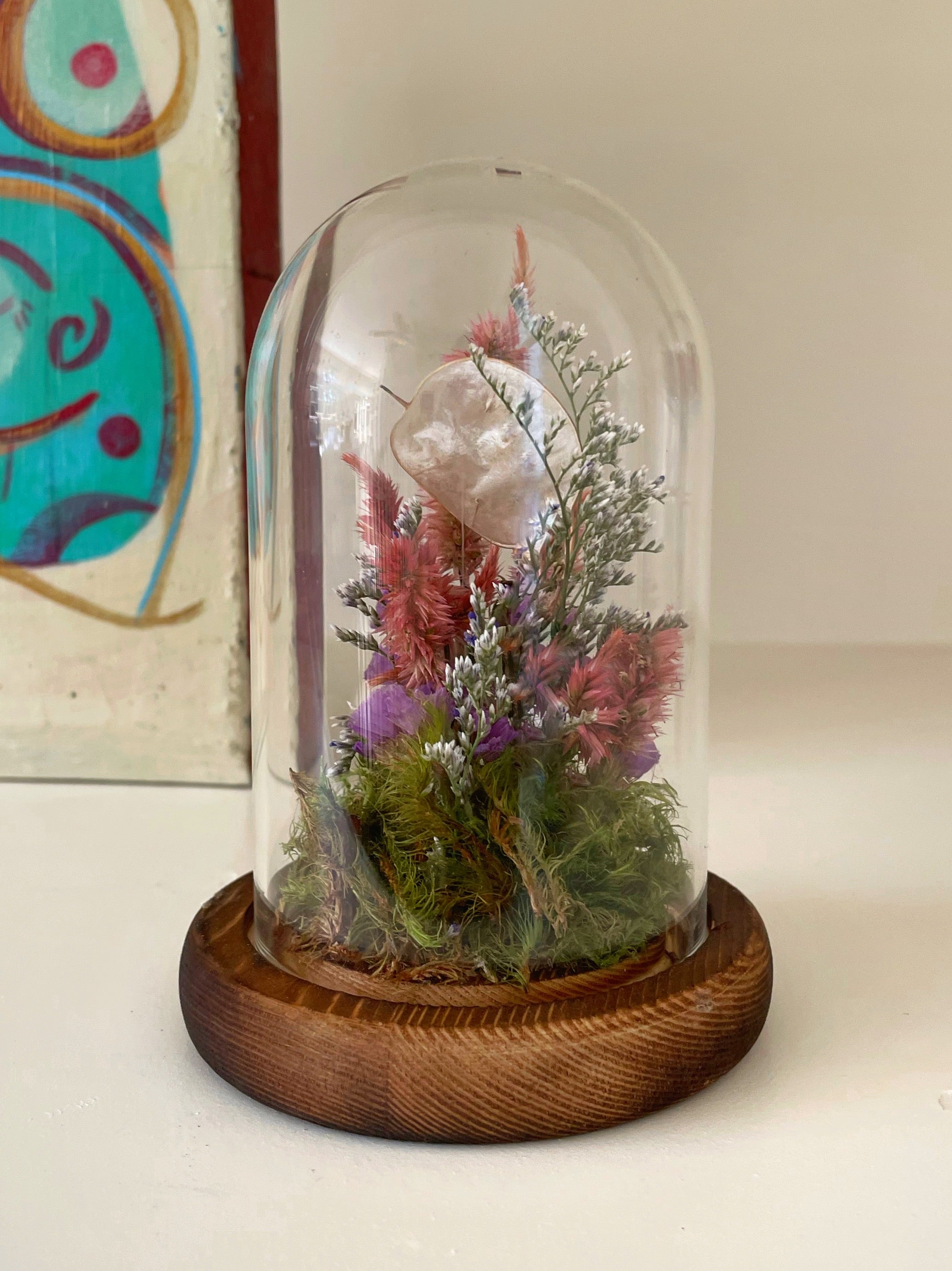 Little Lunaria Terrarium