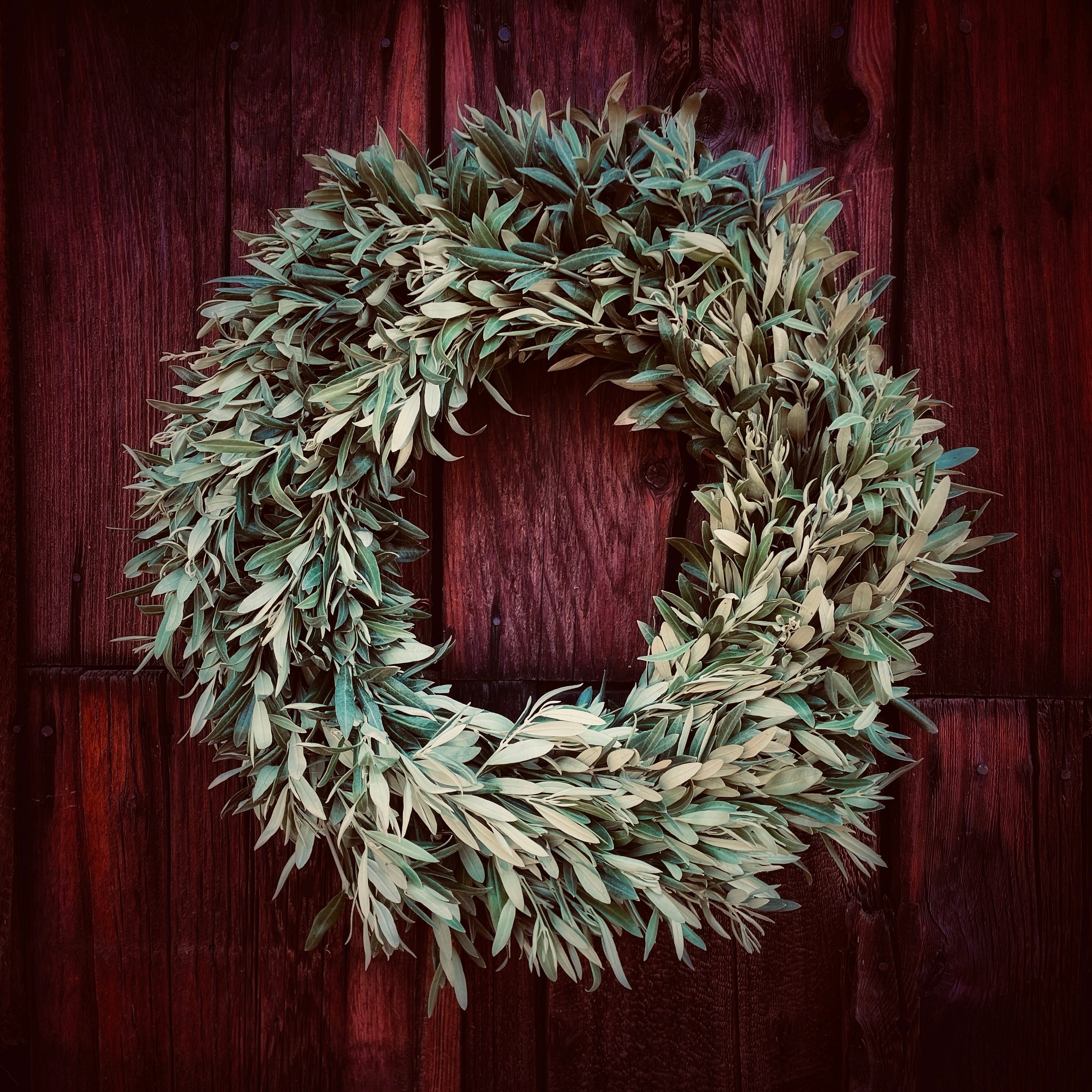 Fresh Olive Wreath