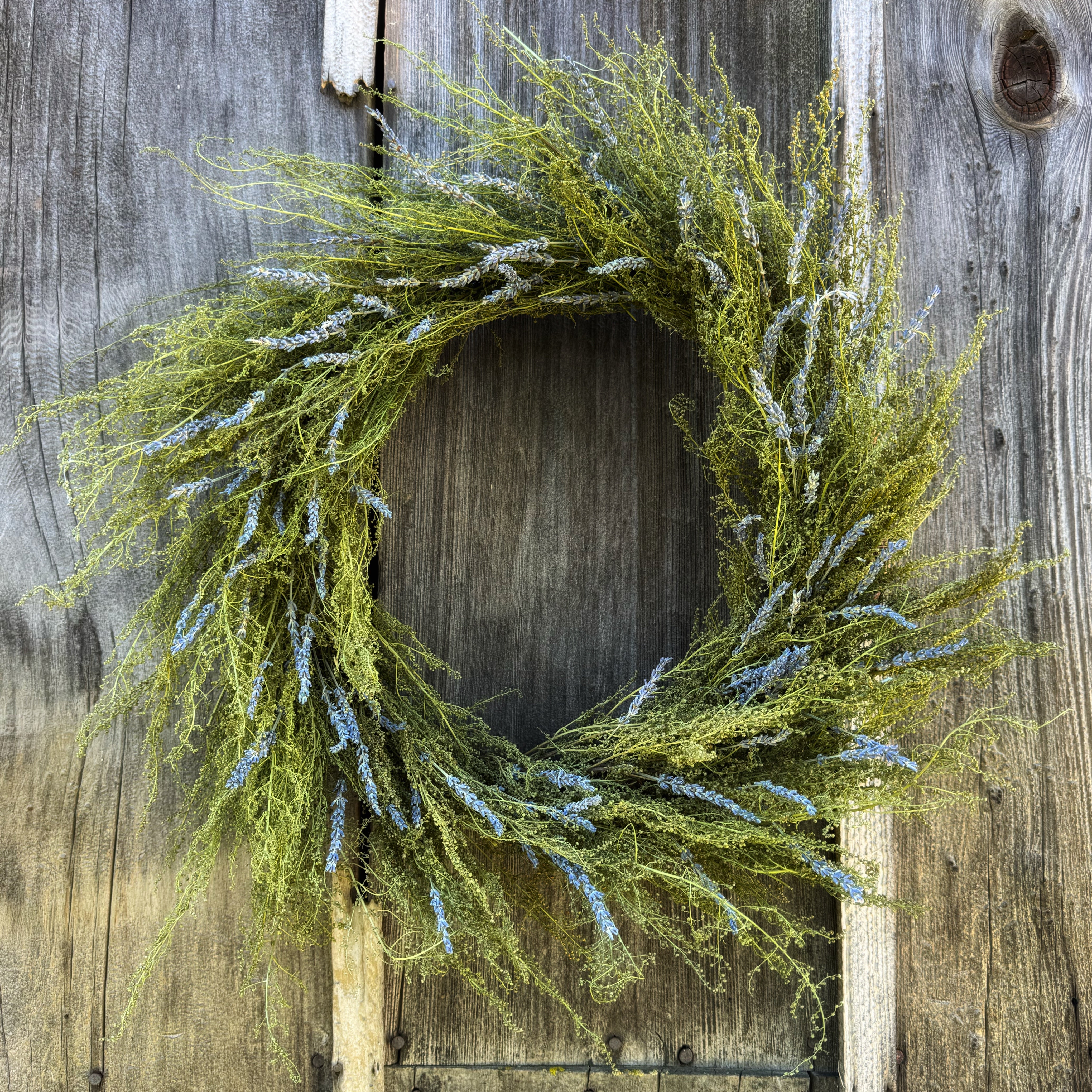 Sprinkled Lavender on Sweet Annie’s Wreath