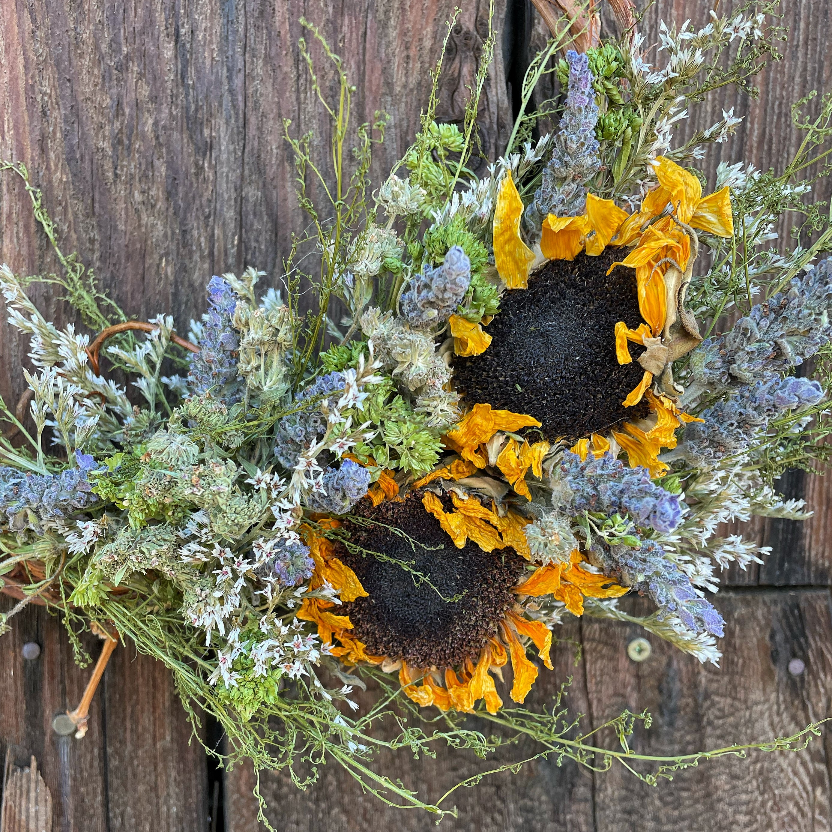 Wee Yin Small Dried Sunflower and Lavender Wreath
