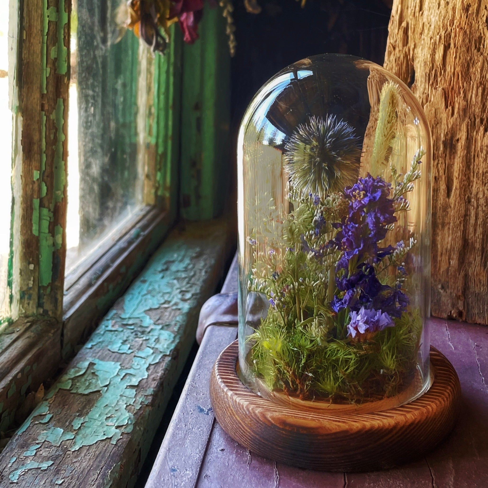 The Little Earth and Sky Terrarium