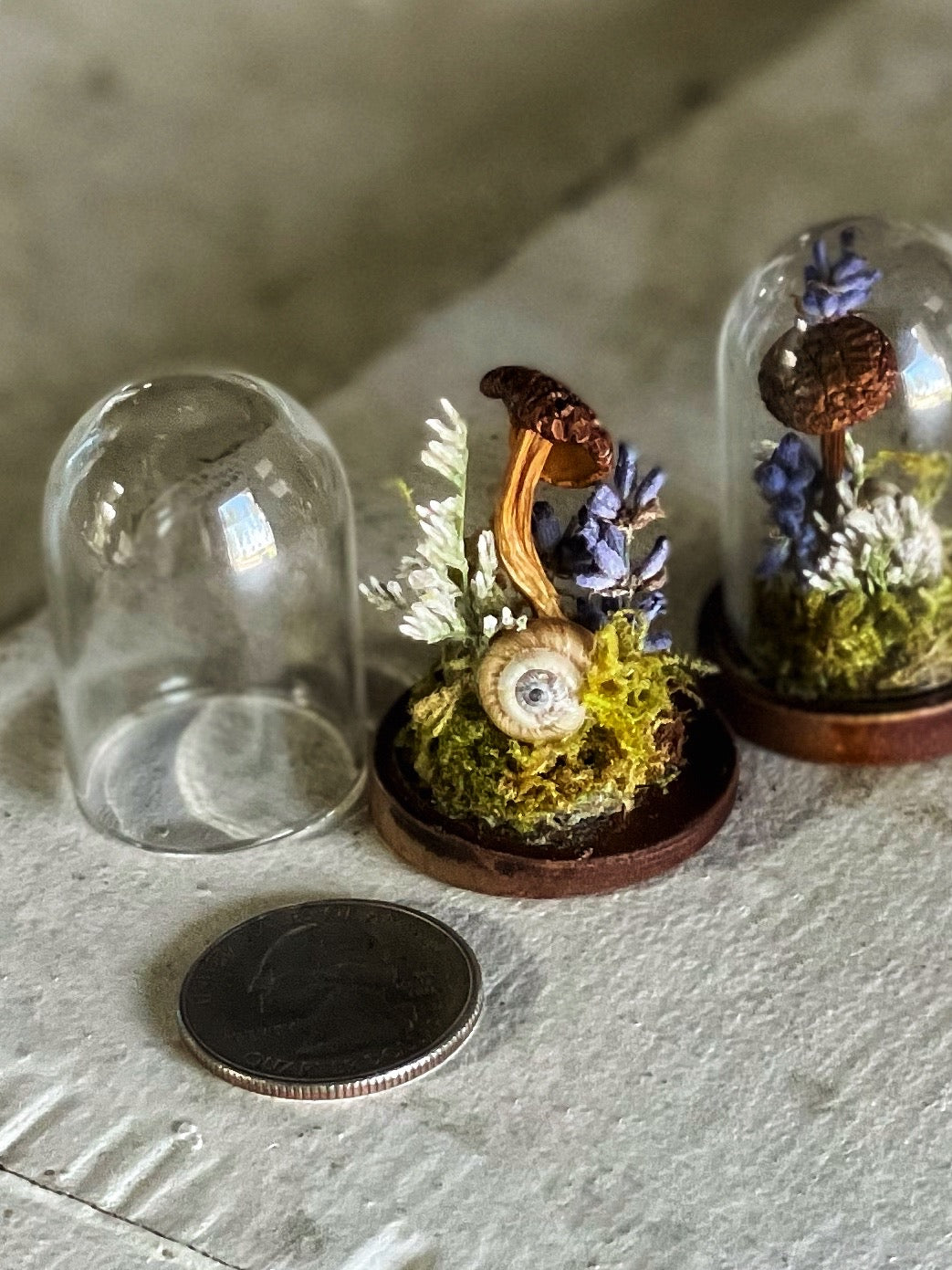 Itsy Bitsy Terrarium